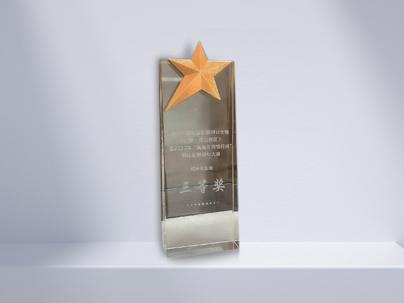 Third Prize of the Foshan Division of the China Innovation and Entrepreneurship Competition
