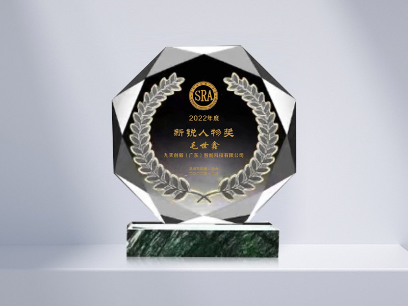 Shenzhen Top Ten Emerging Figures in Robotics Award
